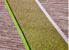 Мокетен килим ERIKA 8012 beige/green